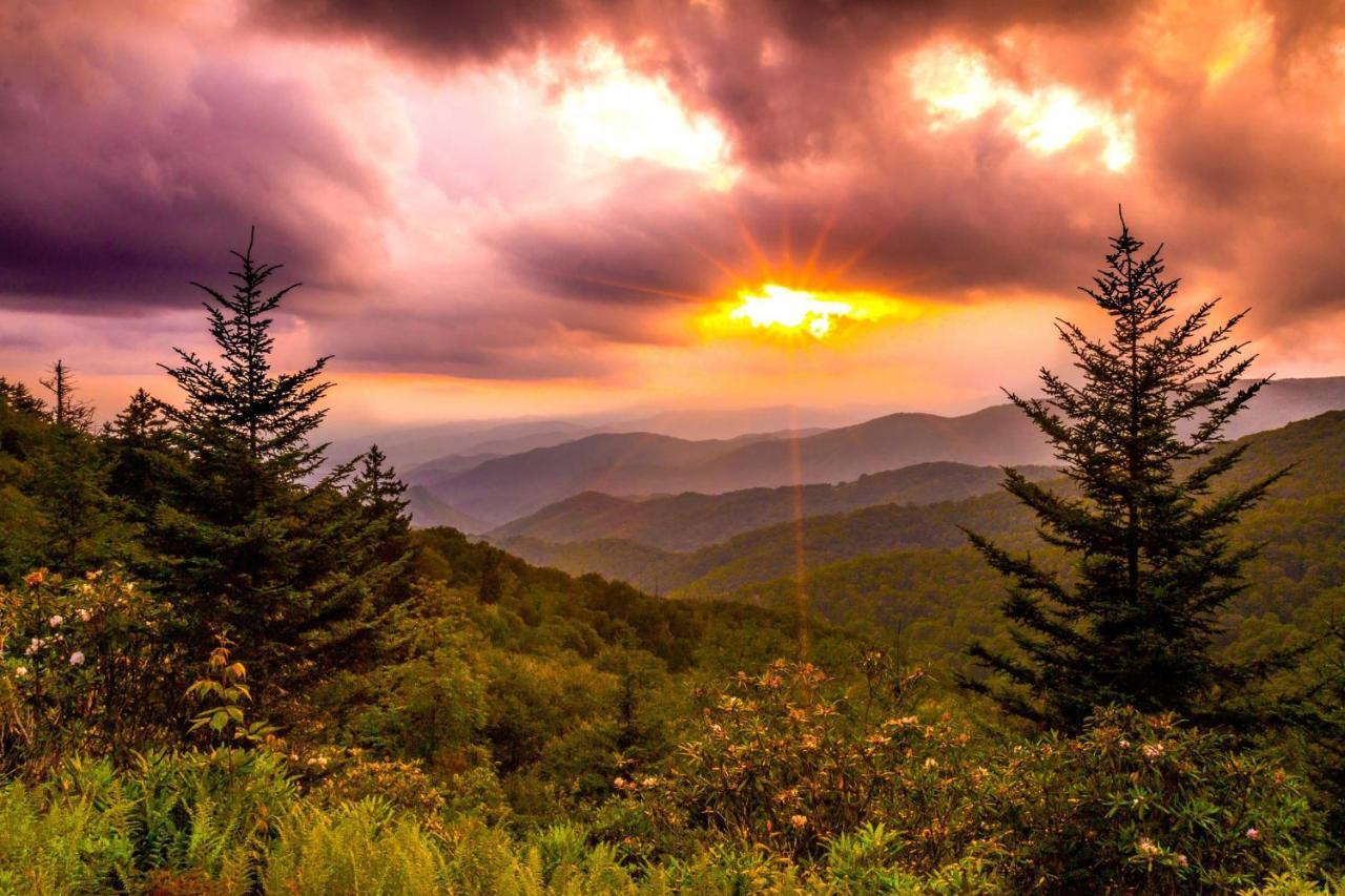 Heavenly Bearadise Cabin In Cashiers, Nc! Екстер'єр фото